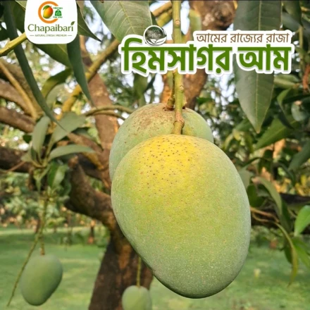 slider images